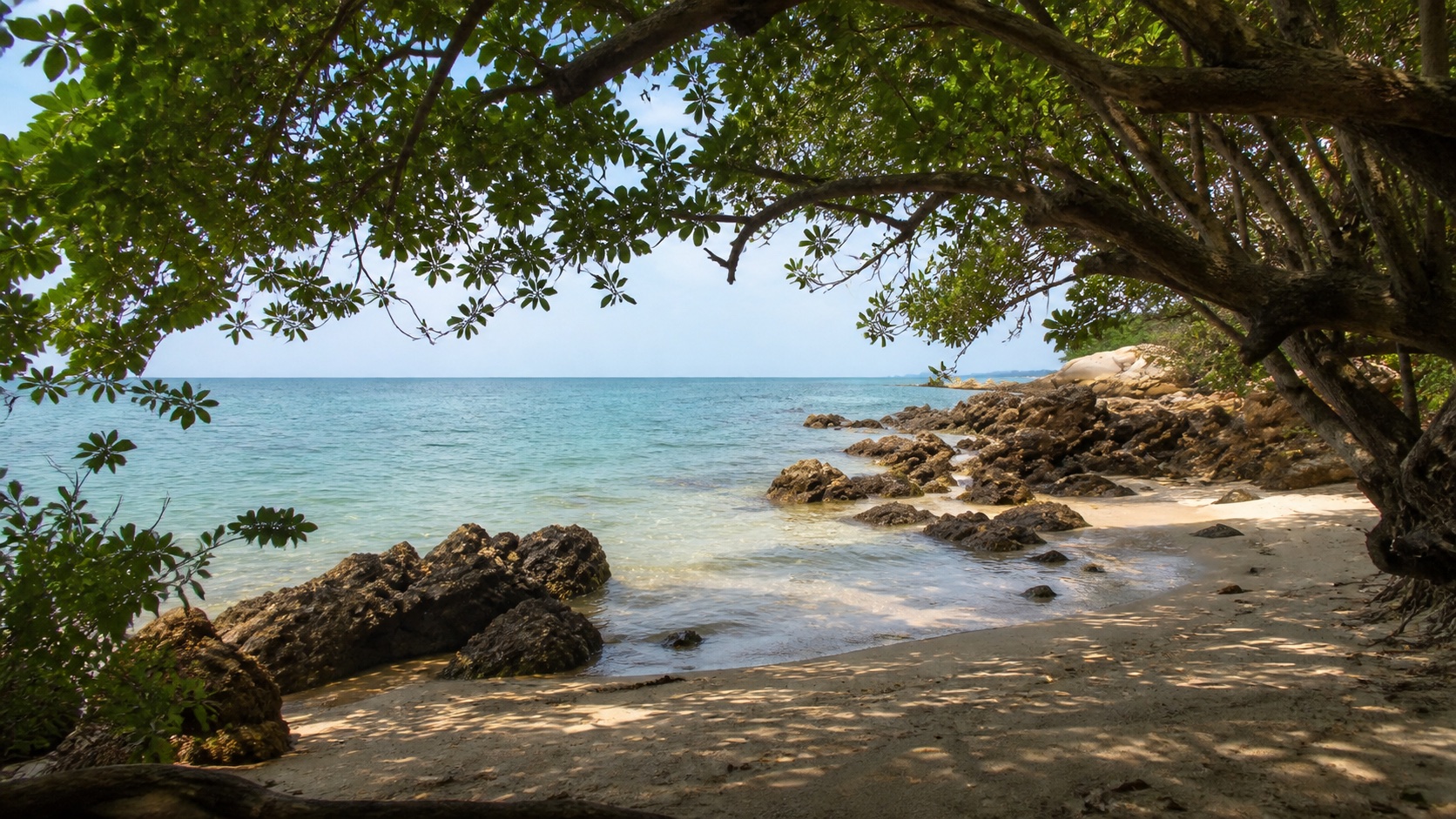 มุมร่มเงาต้นไม้ริมทะเลที่หาดวงศ์อมาตย์